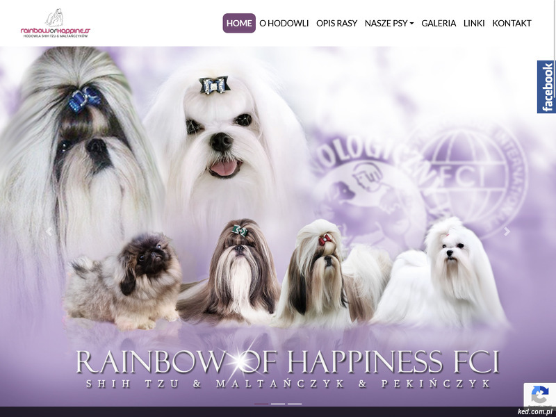 Rainbow Of Happiness strona www